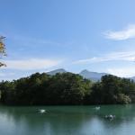 Chinese Cuisine Kaiho